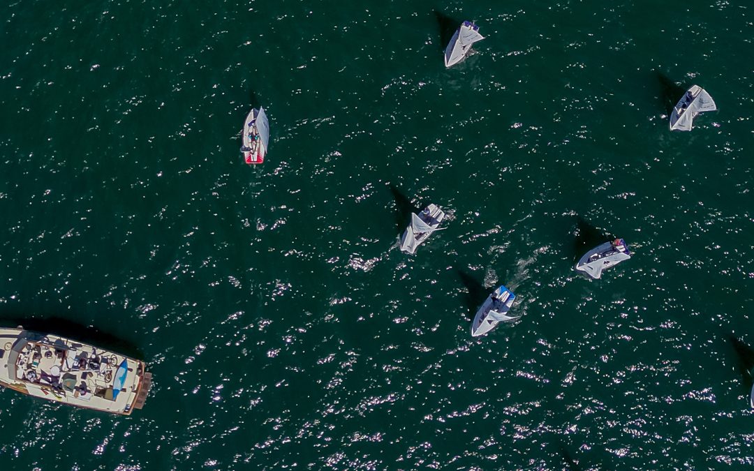 Opportunité d’emploi : chef de la direction de Voile Canada